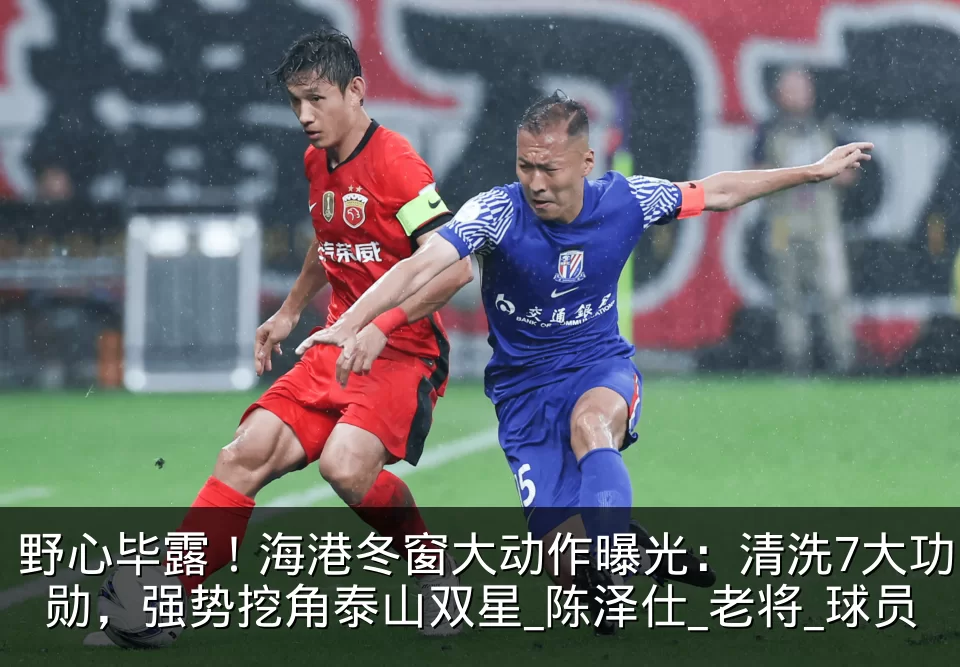 野心毕露!海港冬窗大动作曝光:清洗7大功勋,强势挖角泰山双星_陈泽仕_老将_球员