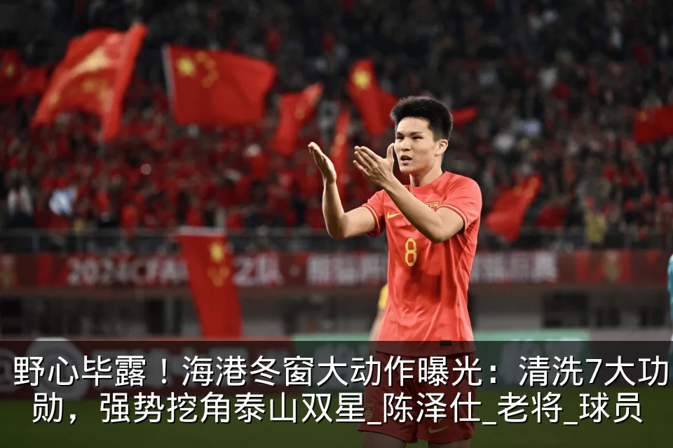 野心毕露!海港冬窗大动作曝光:清洗7大功勋,强势挖角泰山双星_陈泽仕_老将_球员